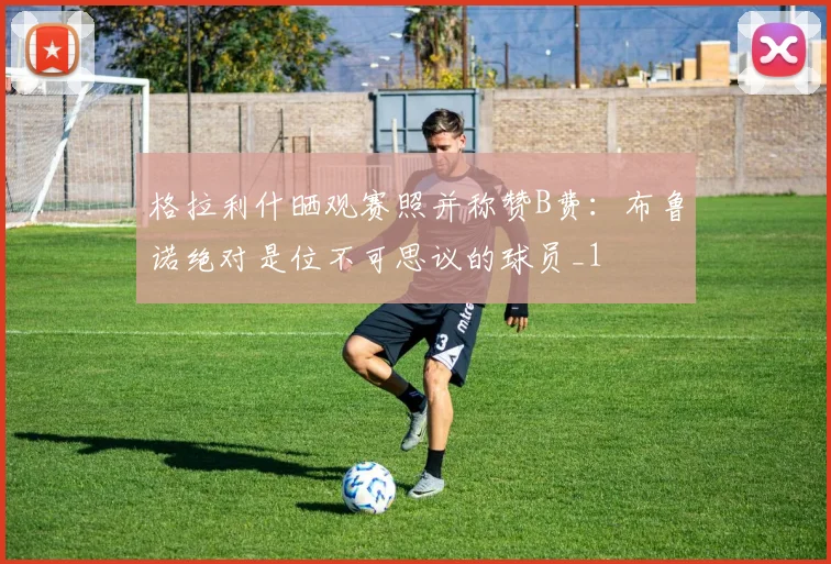 格拉利什晒观赛照并称赞B费：布鲁诺绝对是位不可思议的球员_1