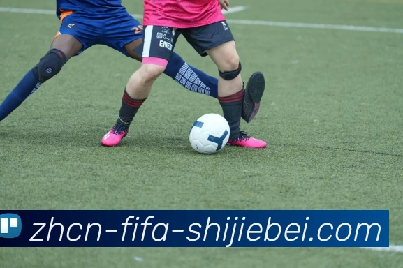 FIFA世界杯中文网平台生态图